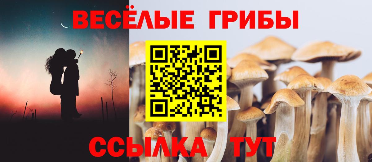 цены наркотик  Вход с VPN  Лабинск  Галлюциногенные грибы прущие грибы 